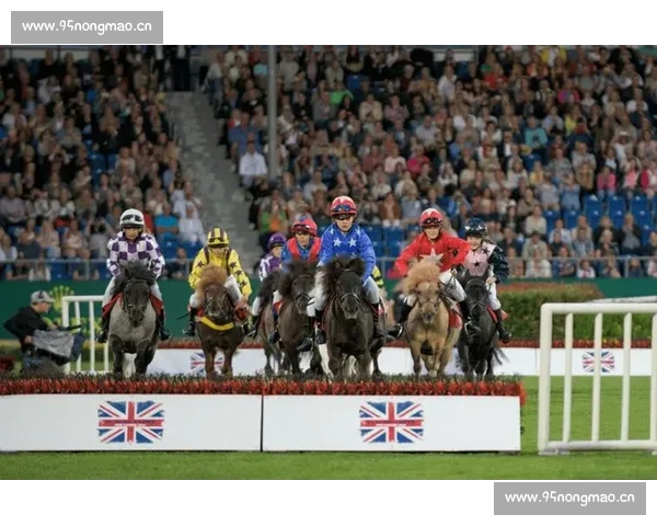 足球比赛在线观看平台入口全方位指南实时赛事更新和精彩瞬间尽在掌握 - 副本 (2)